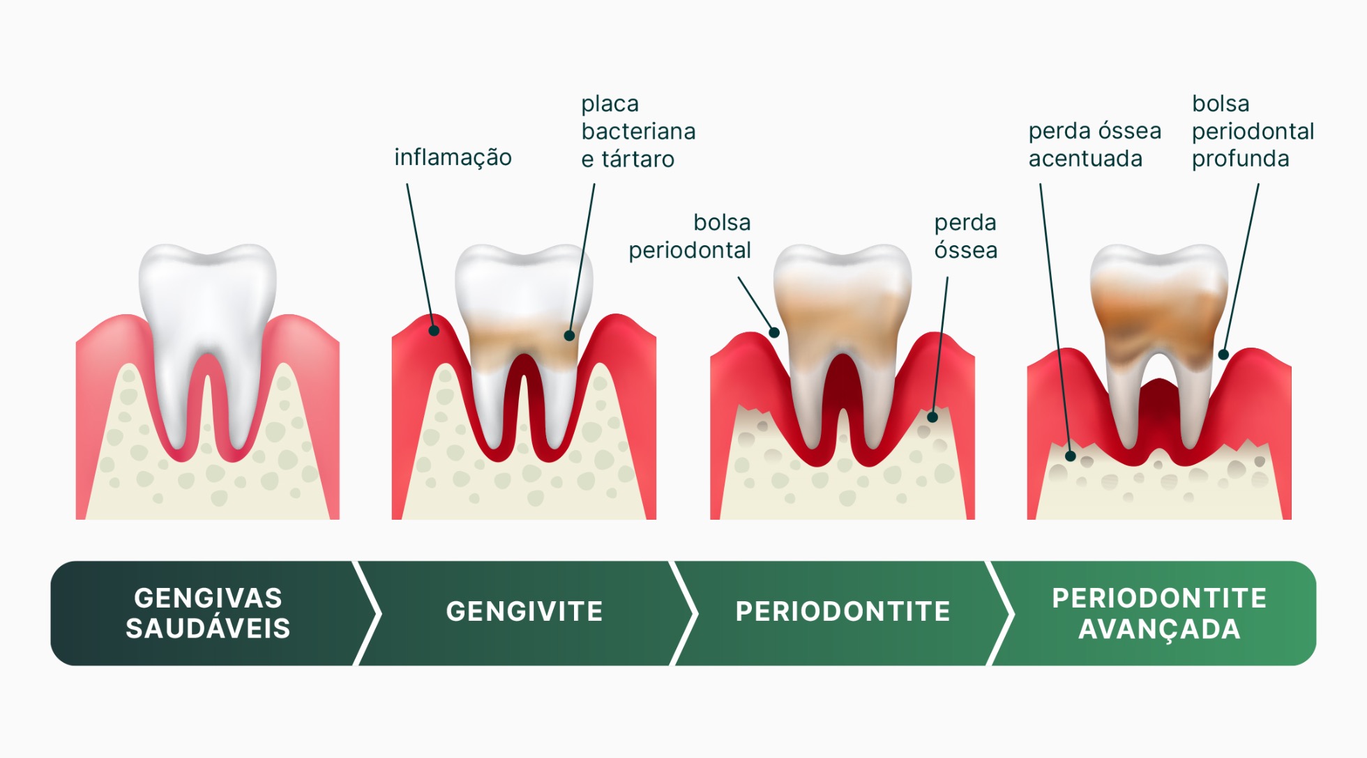 Periodontologia Real Cl nica Medicina Dent ria Periodontologia Real Cl nica Medicina Dent ria